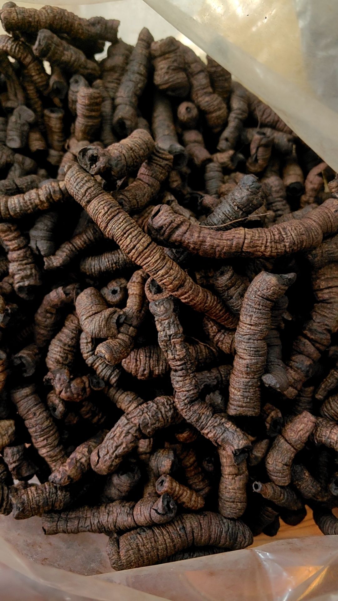 大瑤山里的珍稀巴戟天 紫肉去骨，天然農產品與水產加工的完美結合