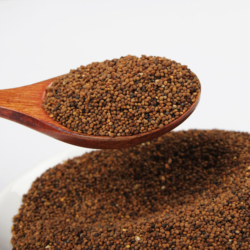 菟絲子 傳統(tǒng)滋補(bǔ)佳品與現(xiàn)代應(yīng)用