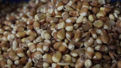 賀蘭山下產業旺，鄉村振興水產品助力發展