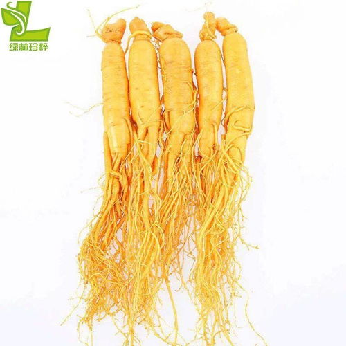 長(zhǎng)白山保鮮人參 優(yōu)質(zhì)水產(chǎn)品，泡酒煲湯佳品