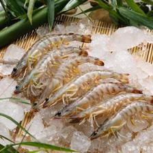 疫情下生鮮電商的逆襲 從水產(chǎn)到蔬菜的全面爆發(fā)