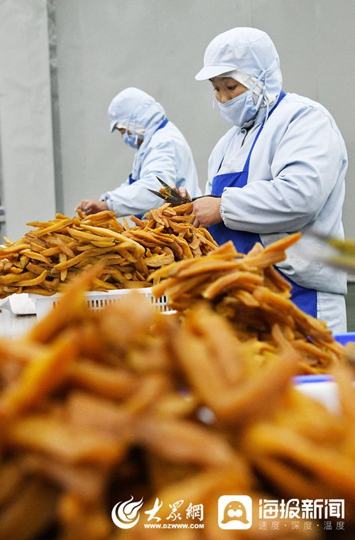 山東棗莊 扶貧車間生產忙 蔬菜產業助增收