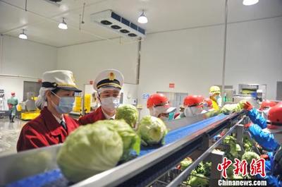 廣東外貿(mào)上半年穩(wěn)健增長(zhǎng)，民企與蔬菜出口成為亮點(diǎn)